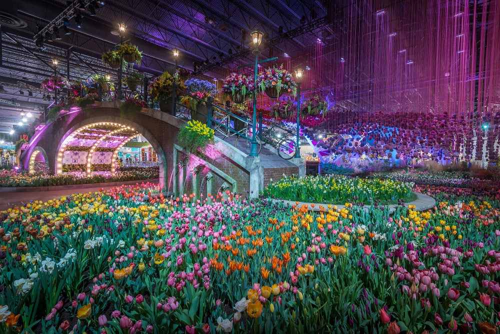 Image from The PHS Philadelphia Flower Show 2018. Image courtesy of Rob Cardillo for PHS