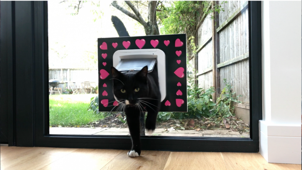 Deluxe Cat Flap Surrounds for Discerning Cat Owners and Cool Cats
