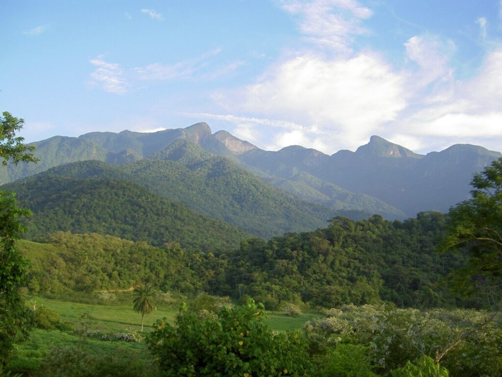 REGUA_Project_Brazil
